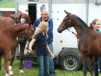 fohlenschau_2010_116.jpg